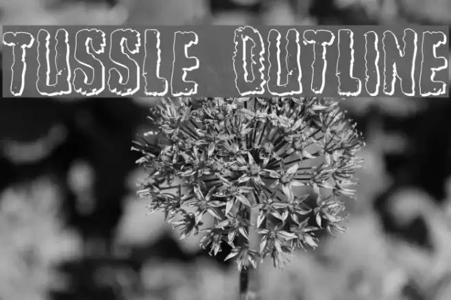Tussle Outline Font examples