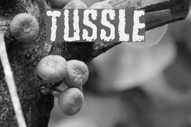 Tussle خط examples
