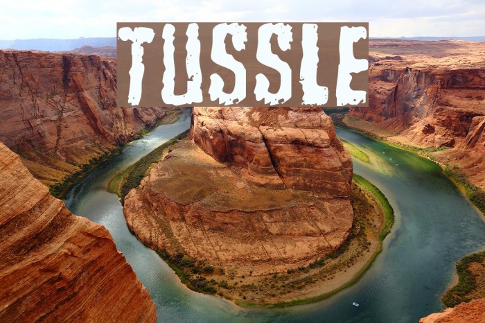 Tussle Font examples