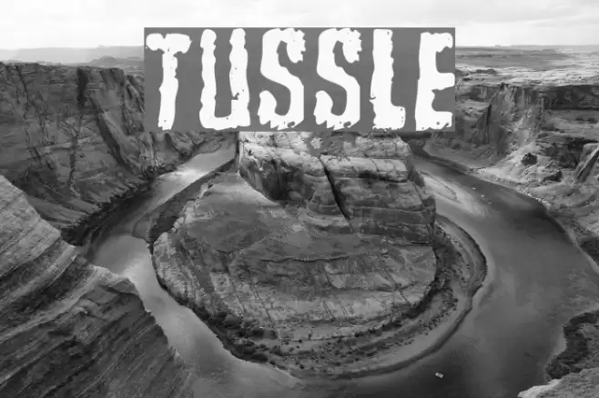 Tussle خط examples