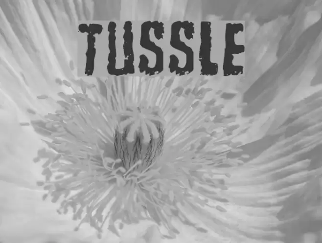 Tussle خط examples