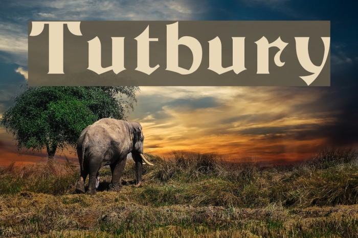 Tutbury Font examples