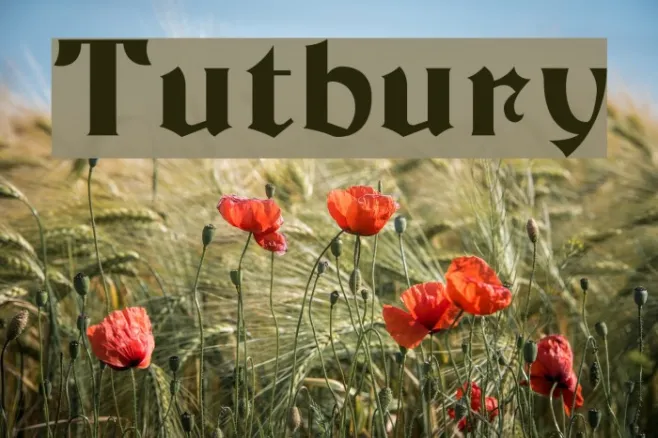 Tutbury Example 3