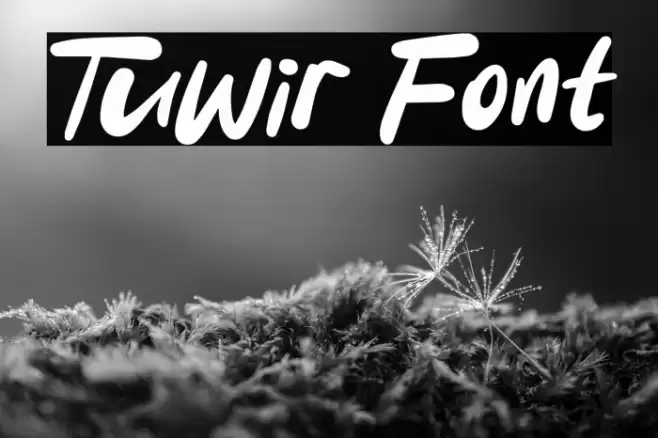 Tuwir Font examples