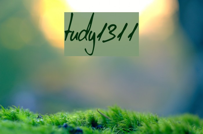 tudy1311 Font examples