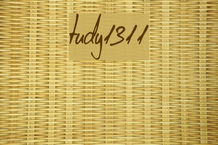tudy1311 Font examples