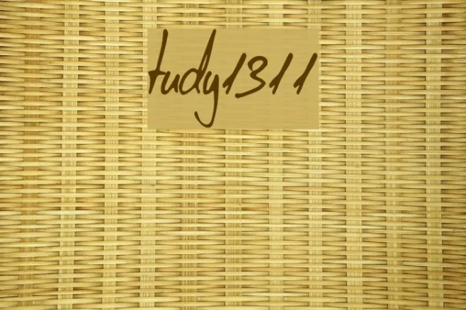 tudy1311 Example 2