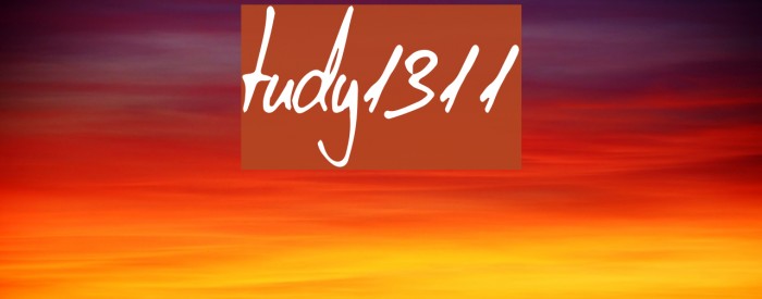 tudy1311 Font examples