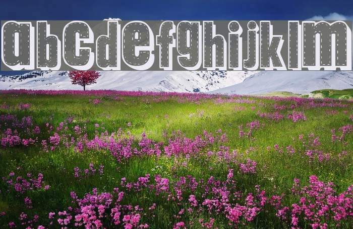 tungfont alpha 003 Шрифта examples
