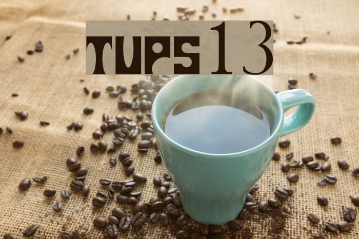 tups13 Font examples