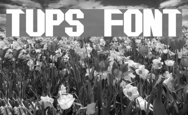 tups Font examples