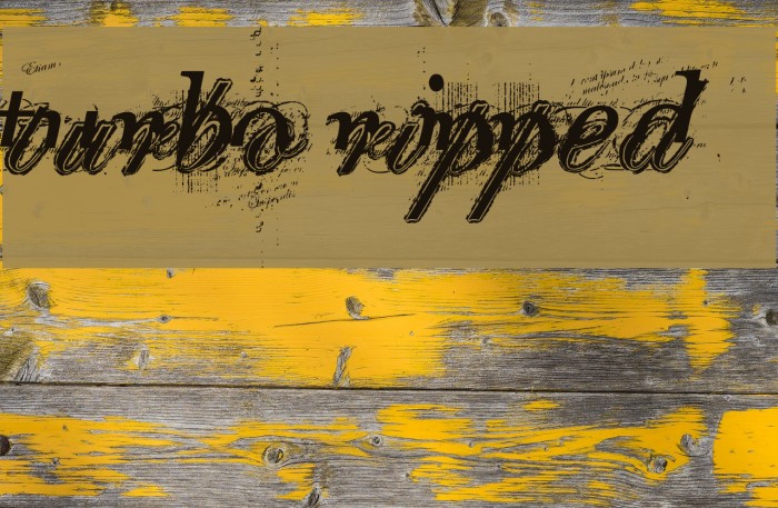 turbo ripped Font examples
