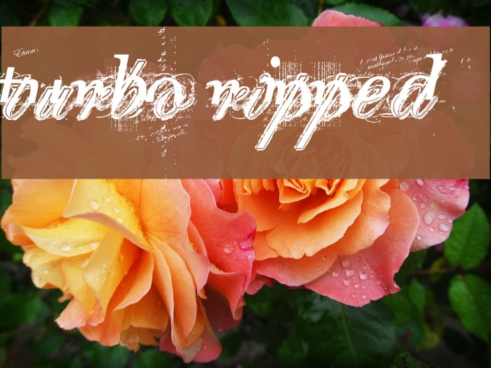 turbo ripped Font examples