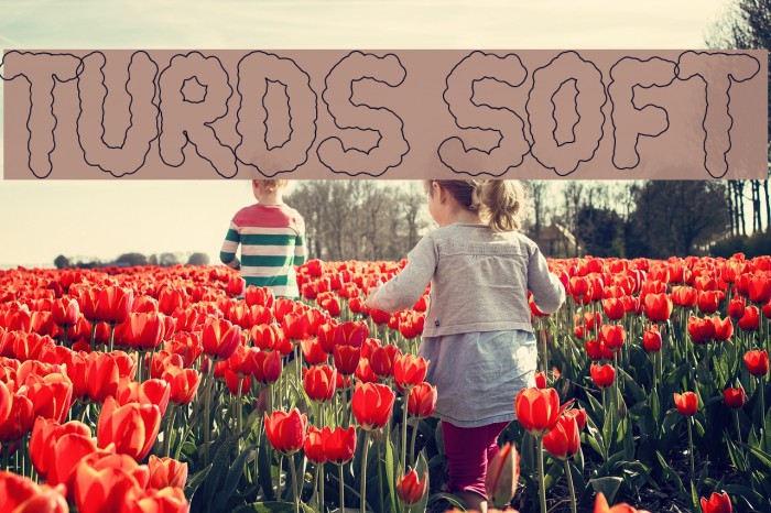 turds soft Font examples