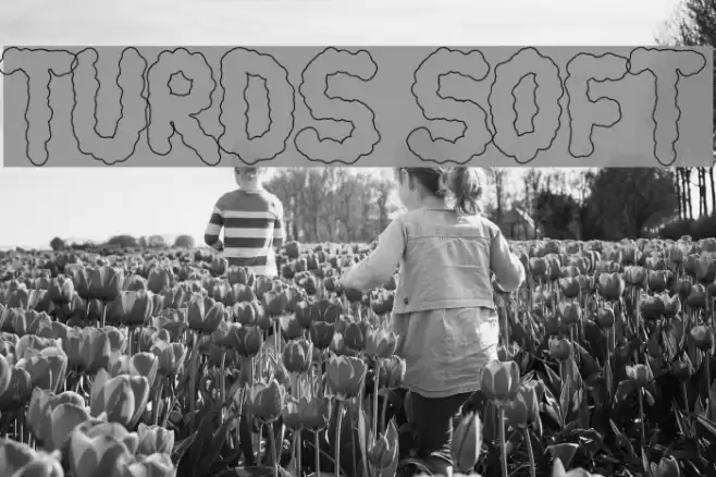 turds soft Schriftart examples