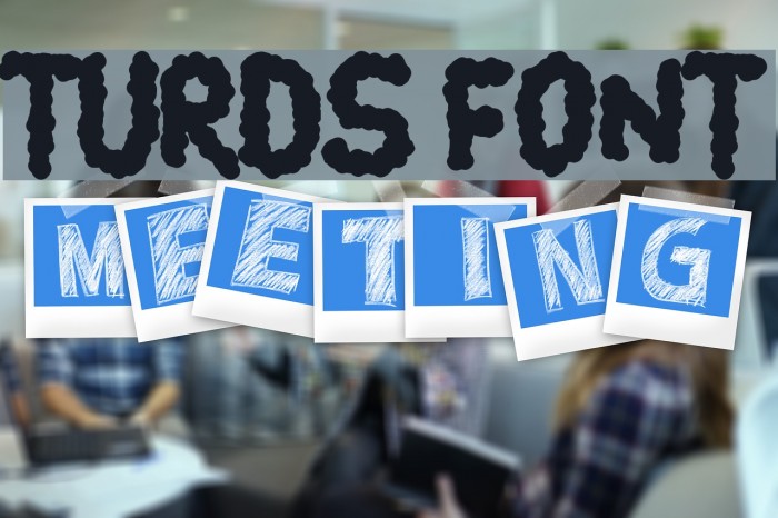 turds Font examples
