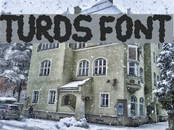 turds Font examples