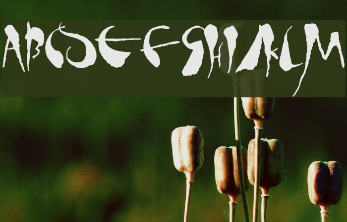 tusch Font examples