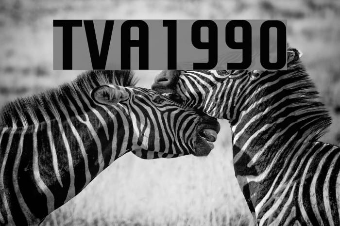 TVA 1990 Font examples