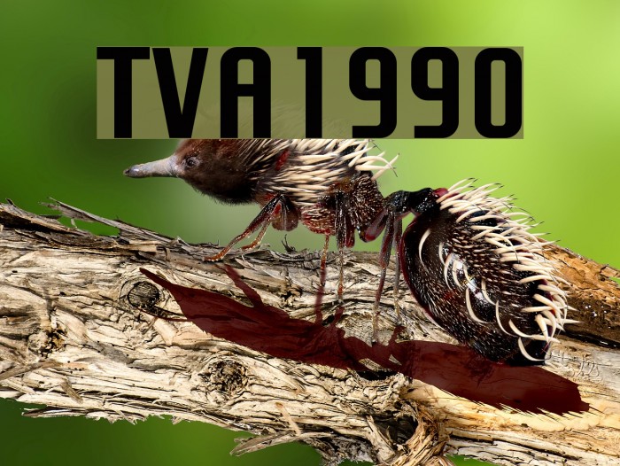 TVA 1990 Font examples