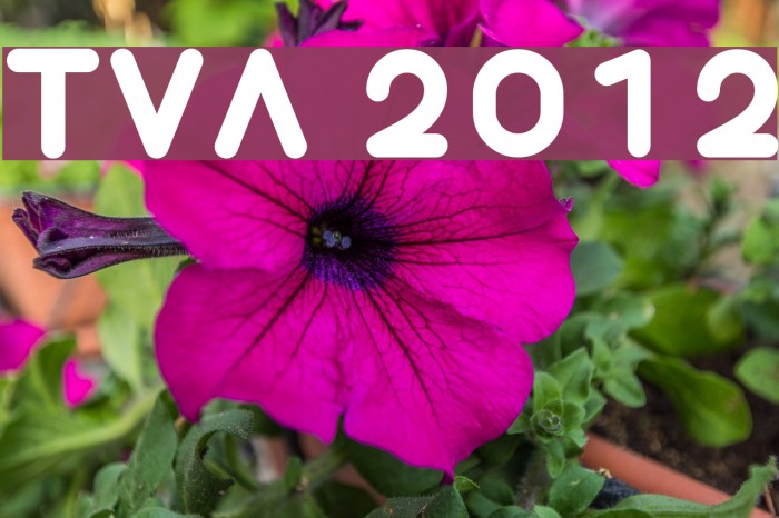 TVA 2012 Font examples