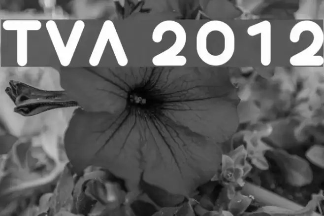 TVA 2012 examples