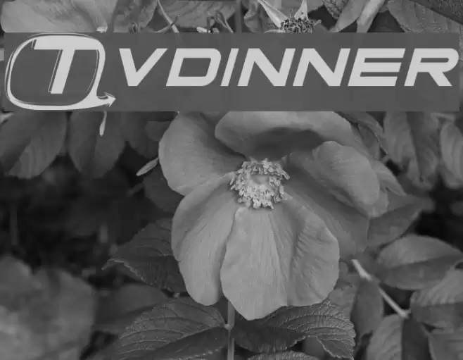 Tvdinner Шрифта examples