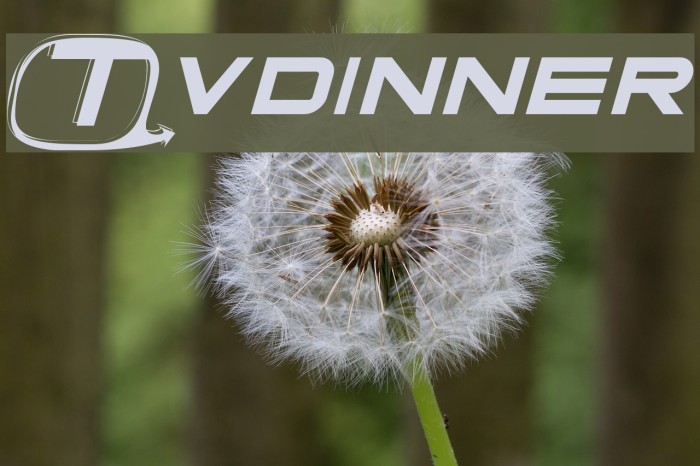 Tvdinner Шрифта examples
