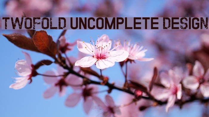 TWOFOLD uncomplete DeSigN フォント examples