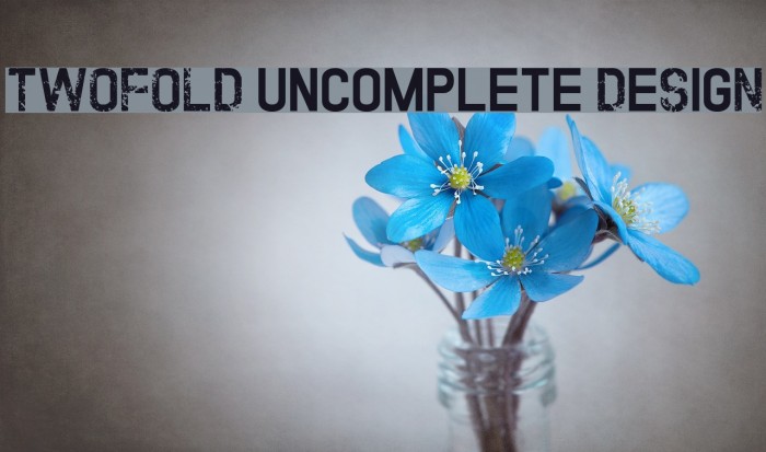 TWOFOLD uncomplete DeSigN Font examples