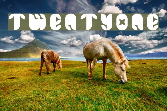 TWentyONe Example 1