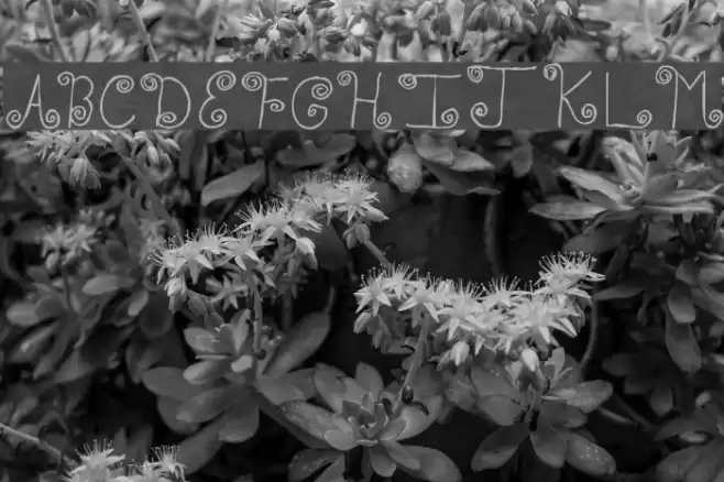 TWistED Font examples