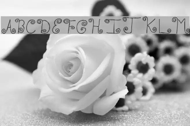 TWistED Font examples