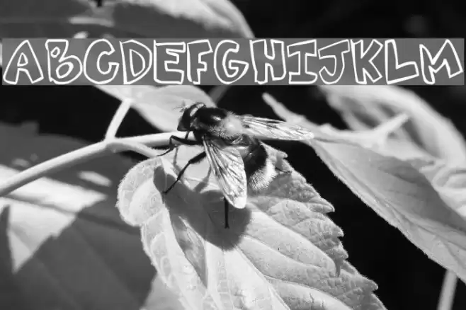 Tweaked Polices examples