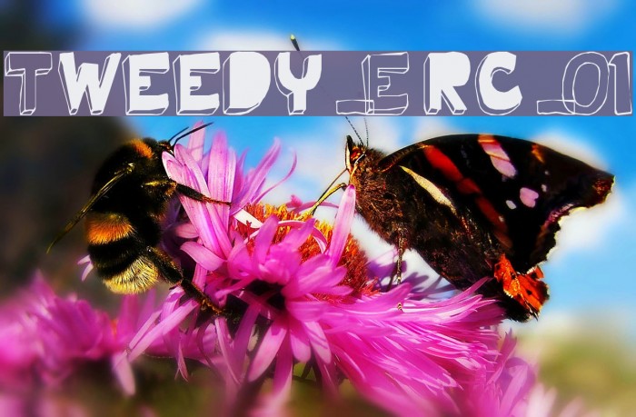 Tweedy_Erc_01 Font examples