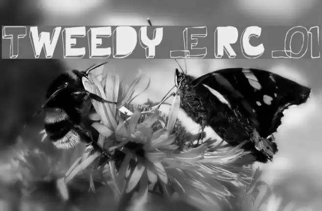 Tweedy_Erc_01 フォント examples