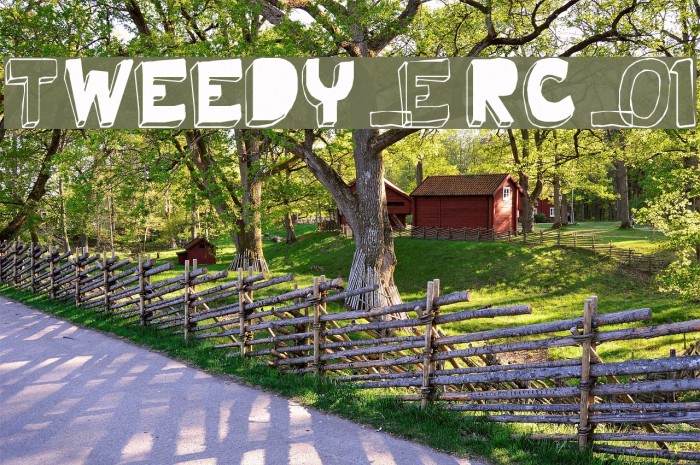 Tweedy_Erc_01 Font examples