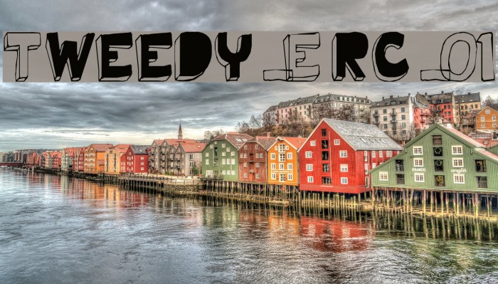 Tweedy_Erc_01 Font examples