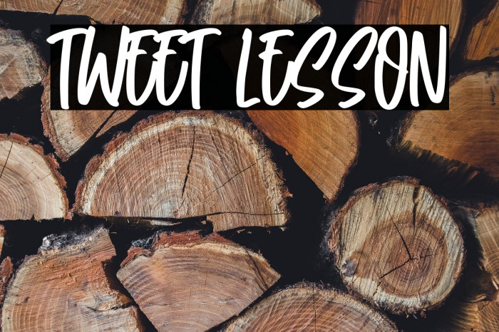 Tweet Lesson Example 2