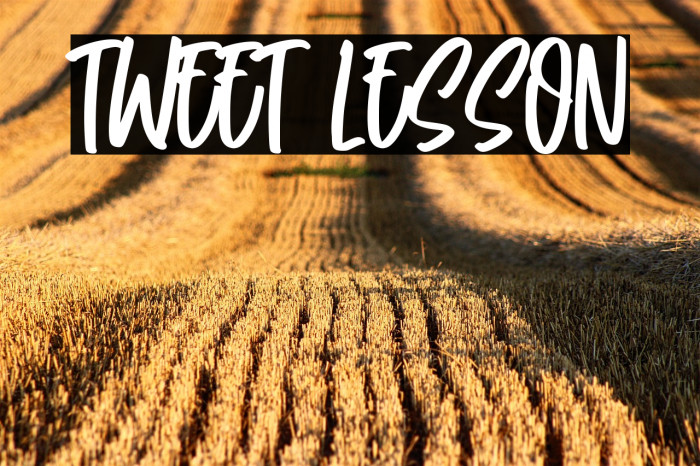 Tweet Lesson Example 3