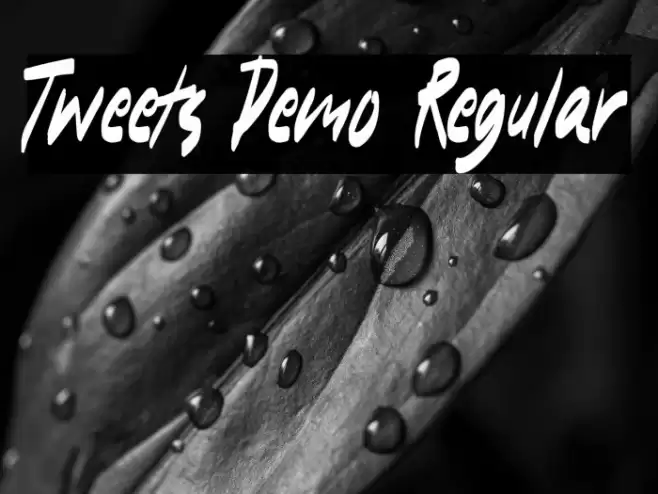 Tweets Demo Regular Fuentes examples