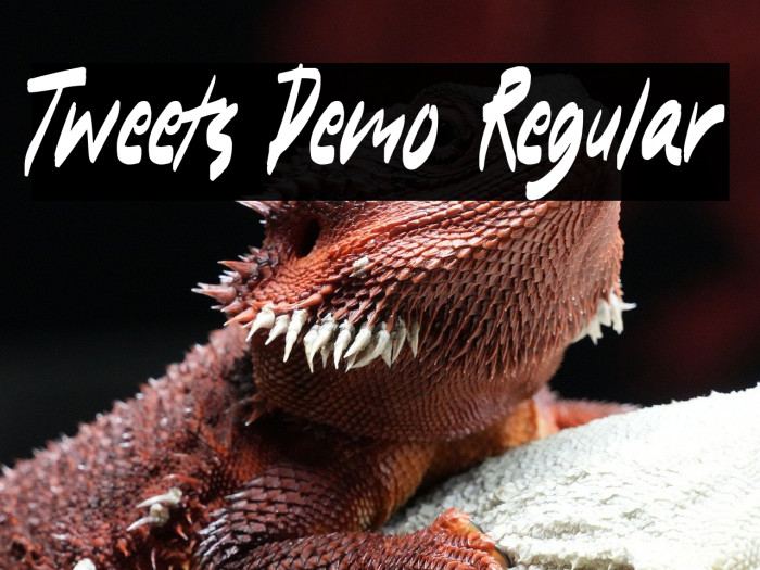 Tweets Demo Regular Example 2