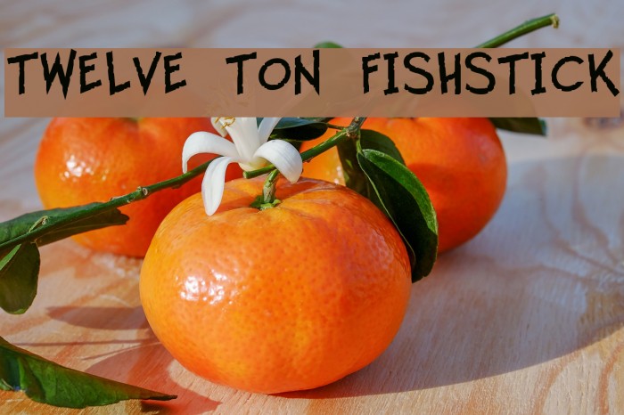 Twelve Ton Fishstick Font examples