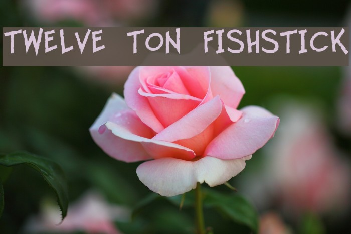 Twelve Ton Fishstick Font examples