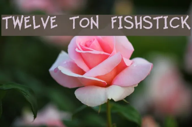 Twelve Ton Fishstick Example 2