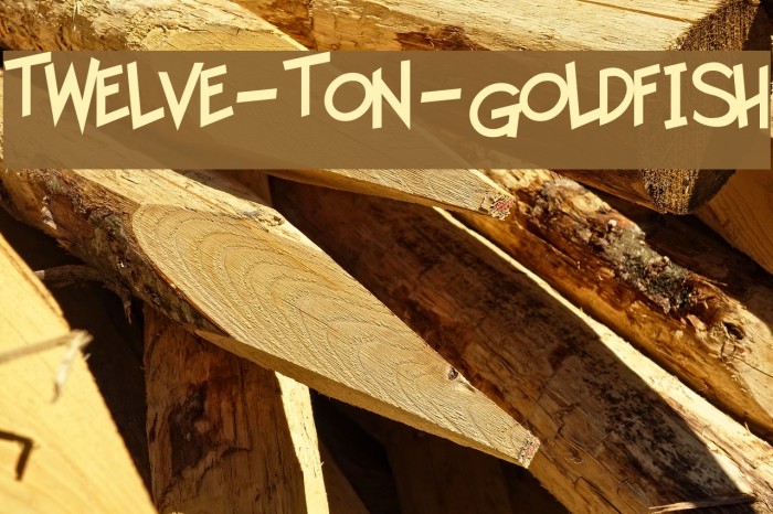 Twelve-Ton-Goldfish Font examples
