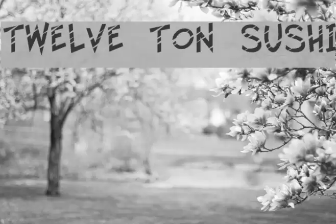 Twelve Ton Sushi Font examples