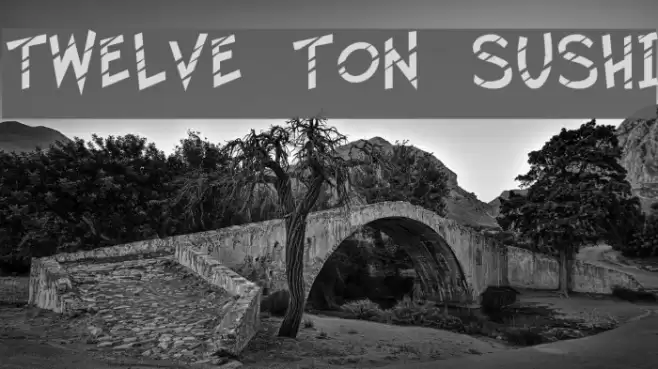 Twelve Ton Sushi Font examples