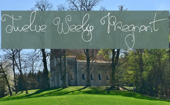 Twelve Weeks Pregnant Font examples