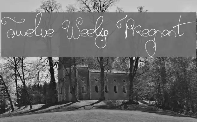 Twelve Weeks Pregnant Font examples